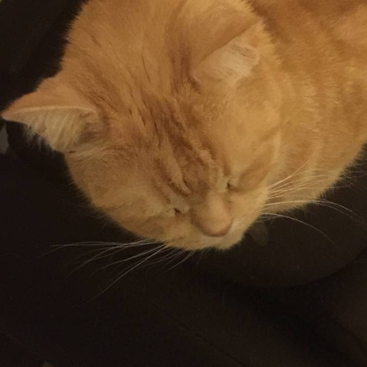 B8bacc37 4542 4252 b7bd f44f25f407d5 1553010404581