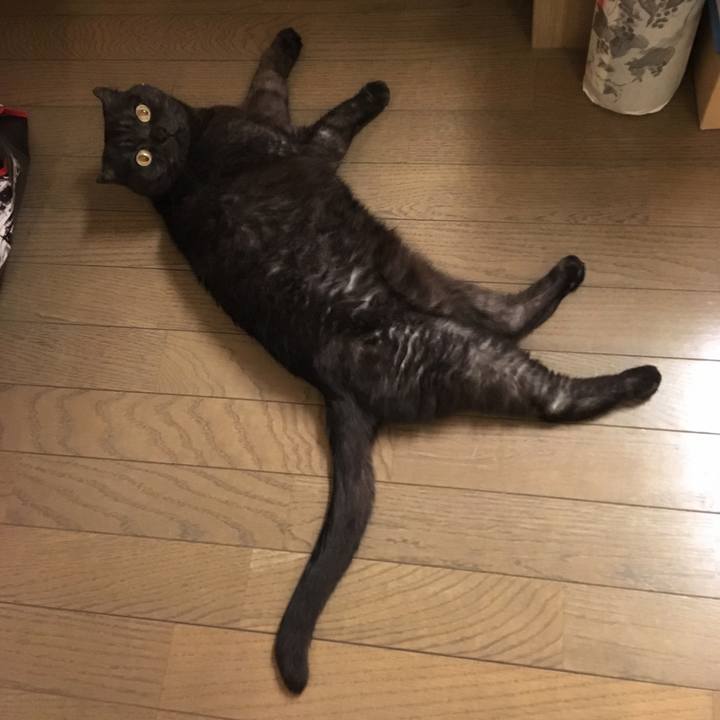 B8bb12db ce30 4a68 aa48 a0f71b4e0cd5 1525886517121