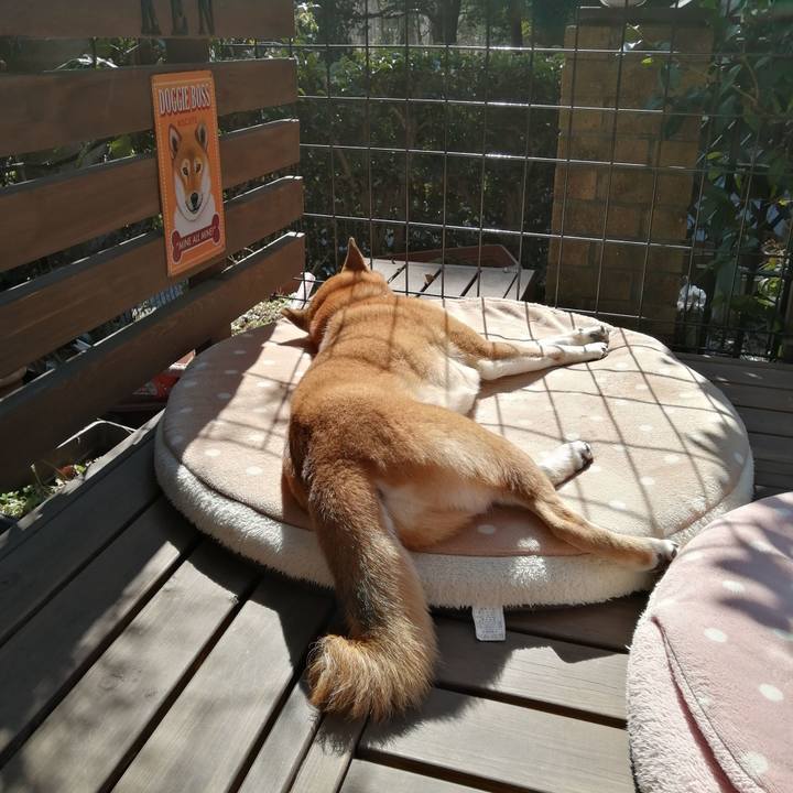 B8bb3709 5fed 4e4a 95c4 79527738f84b 1645932534063