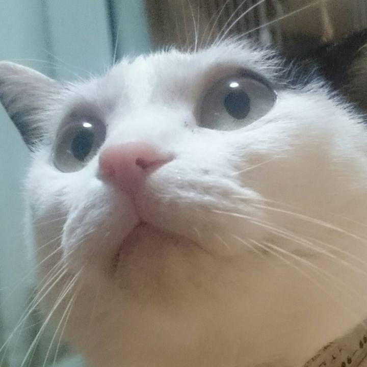 B8bb3a81 97ed 4fd8 a16b 5a59c997b838 1519125614409