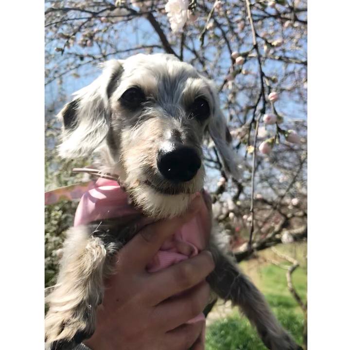 B8bb97c0 3df6 4d3d 8520 816e4291891c 1522203286333