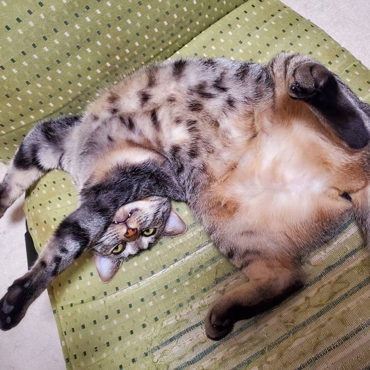 B8bbf455 938a 4b30 a69e 28bafc6653e7 1703849899889