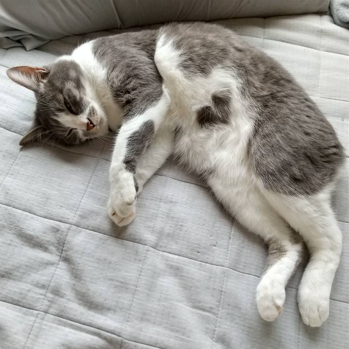 B8bc0d6e ba5d 4cee bbce 62e51127a596 1623132035214