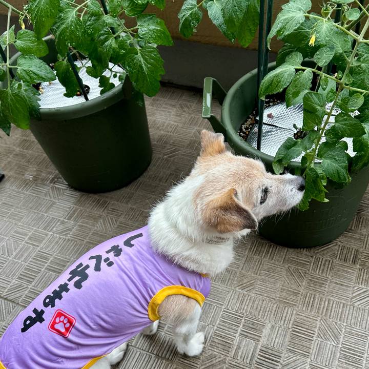 B8bc23f8 3553 4f74 8ed9 a1863dda4445 1748162757382