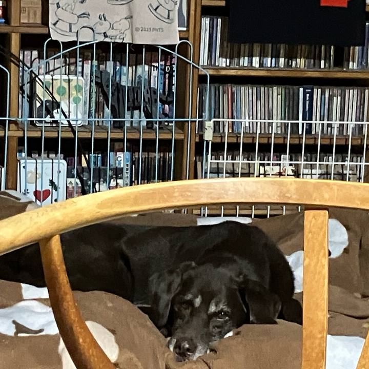 B8bc7bc2 324c 45b8 a101 5b93f8ba7100 1767095529029