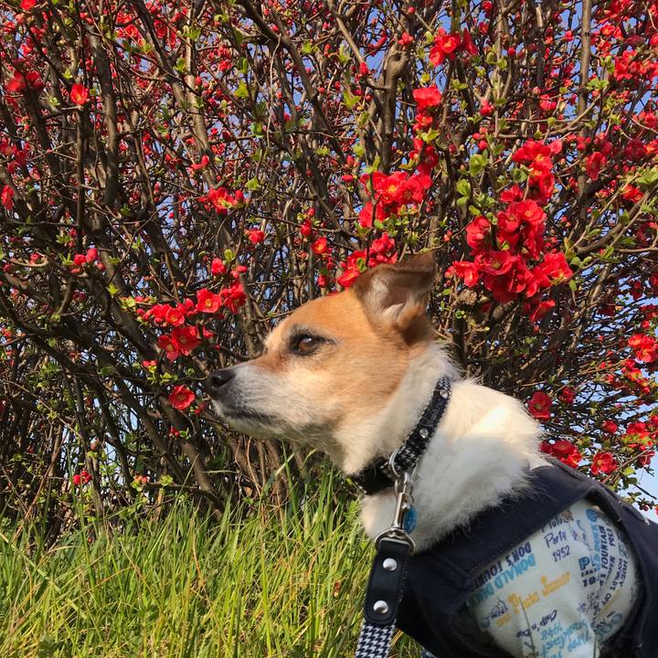 B8bc8ca0 4693 4621 af83 d40da9aa2c56 1552377251735