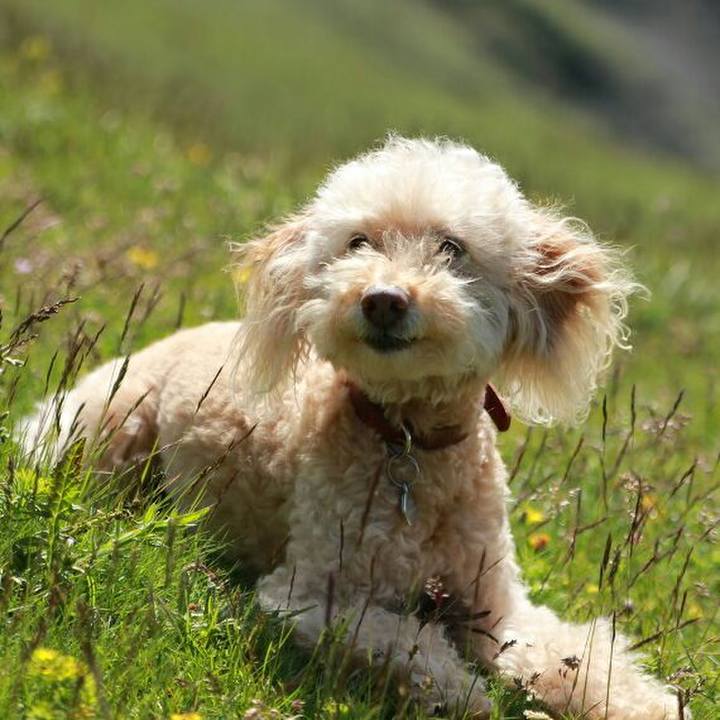 B8bca587 bf64 404f a84f 35b70b52dcf3 1592840694938