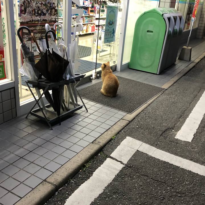 B8bcb484 937b 4fd4 b7fa d8c64801595e 1582289181210