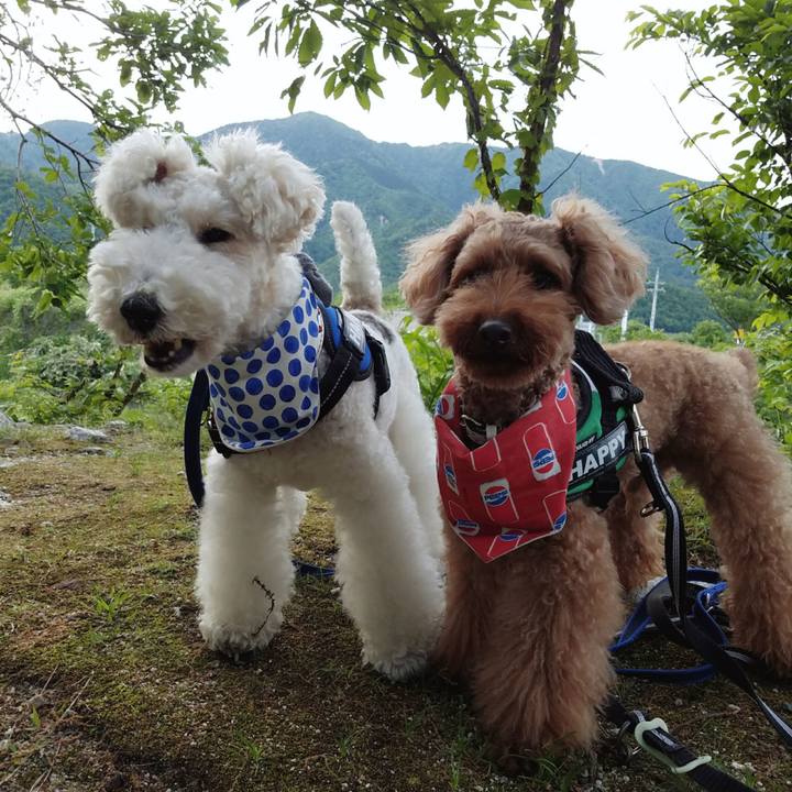 B8bccaaf 67cb 4006 8316 b60347fd5e80 1526819985919