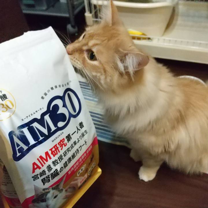 B8bce5c2 8d2d 4a6b af26 2b585c1f7d65 1648385282777