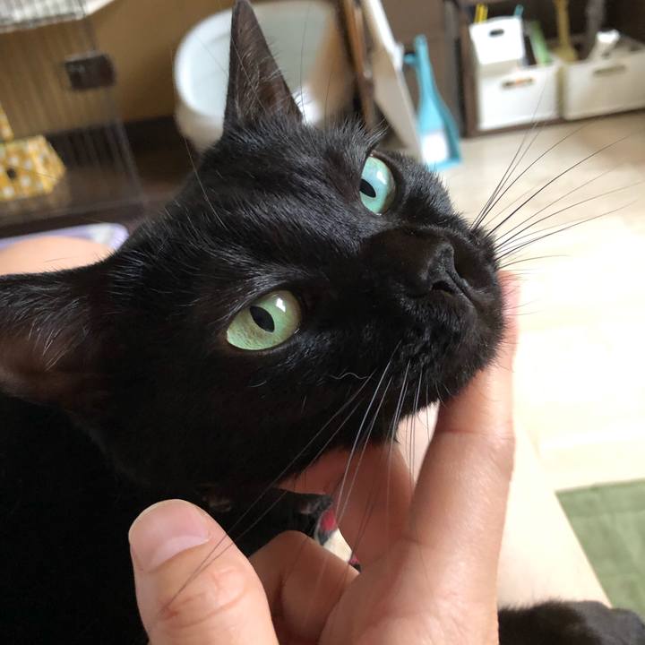 B8bcfd39 ffc7 4763 ab87 12e407e616d3 1599956170932