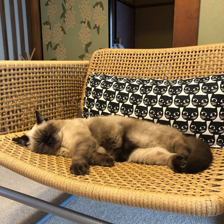 B8bd197c 428d 49e8 a3a7 99618587426a 1601341882481