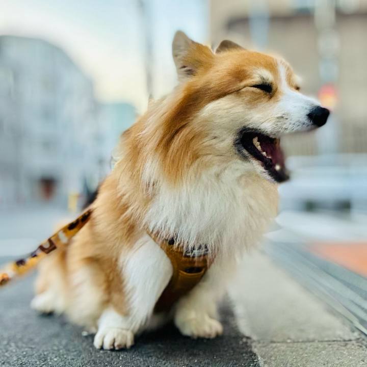 B8bd354b 3f6f 49a5 ad51 88f20c6e9b4e 1768705968051