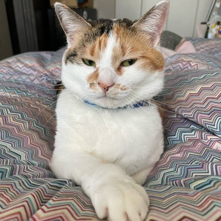 B8bd3a0c 3b75 4260 b384 8c67bf06371e 1713137662845