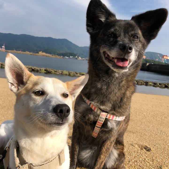 B8bd3cf8 7578 4e19 92c6 5f84bbdef3ec 1590144730905