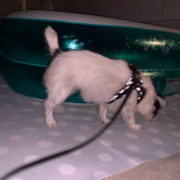 B8bd961b 2a3e 429c 9c02 2fd77dfb17de 1723381682880