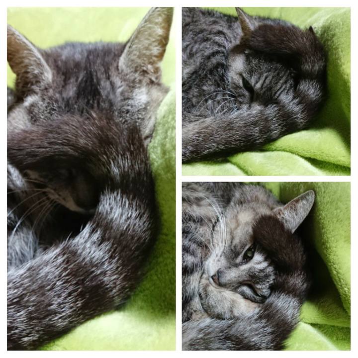 B8bd9a5a 3144 4618 95d8 3646fba104a3 1583020249696