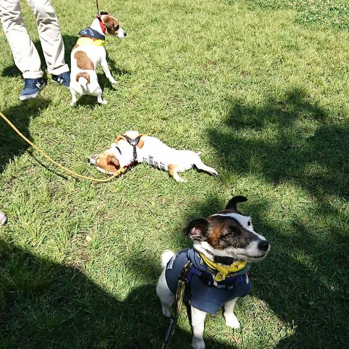 B8bdcca5 d465 4973 a8e4 f144d8132ee3 1526123747960