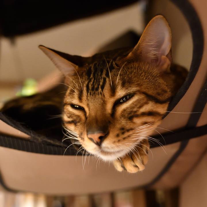 B8bdee95 538b 44fc 8a68 c31f290bef54 1512055421746