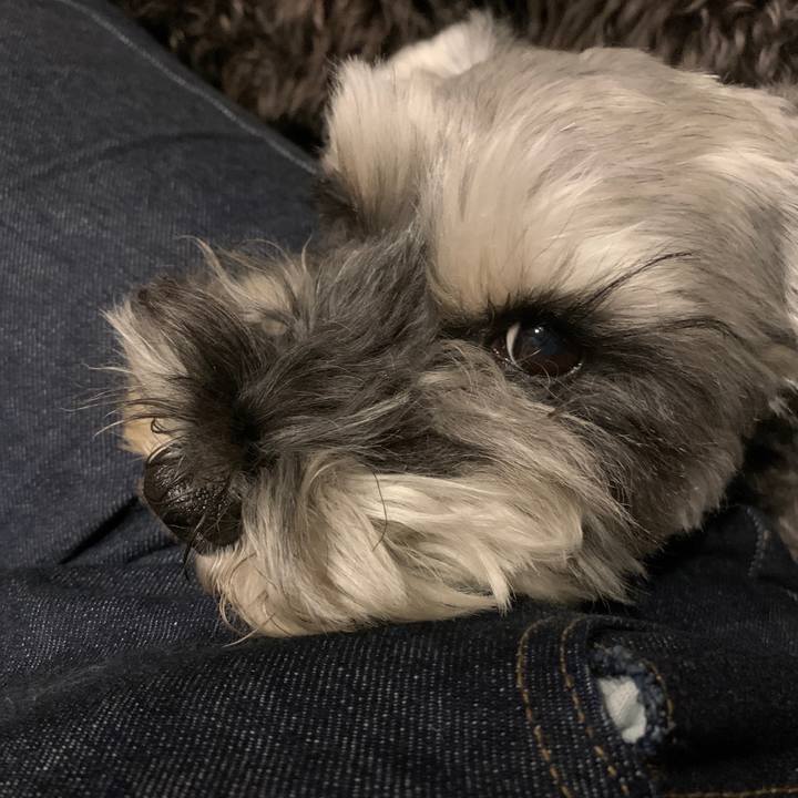 B8be343e 83d1 4f19 a8c4 ef9db117c362 1605946288094