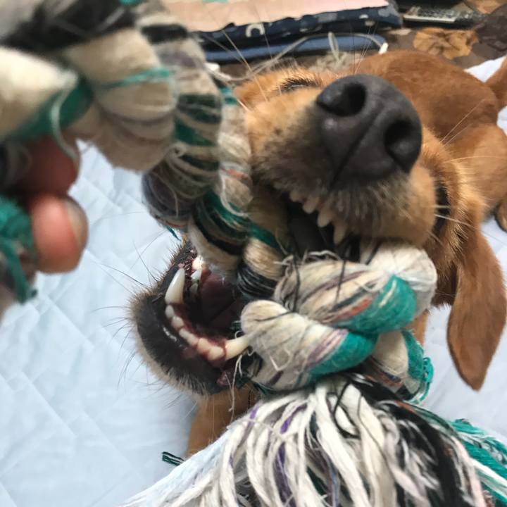 B8be3f29 5fb8 41e2 809f 736489c01482 1534114980100