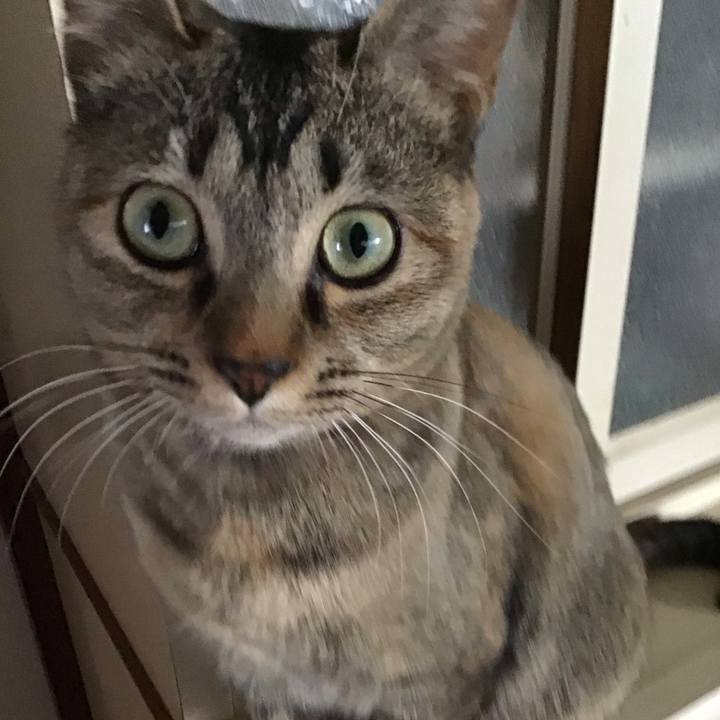 B8be7b80 2208 4c9f 8e89 b4e1e158b207 1583229636035