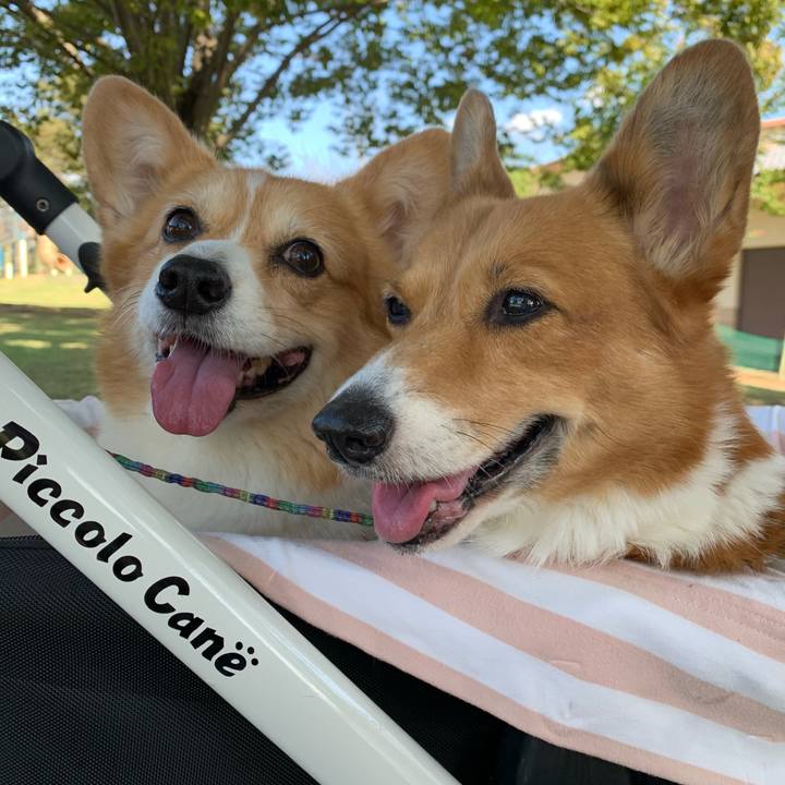 B8be89d1 53a7 4277 8cb6 76e4be2729b3 1697078845814