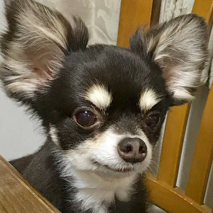 B8be97b9 3fd7 4cae af49 04414df53149 1562975634301