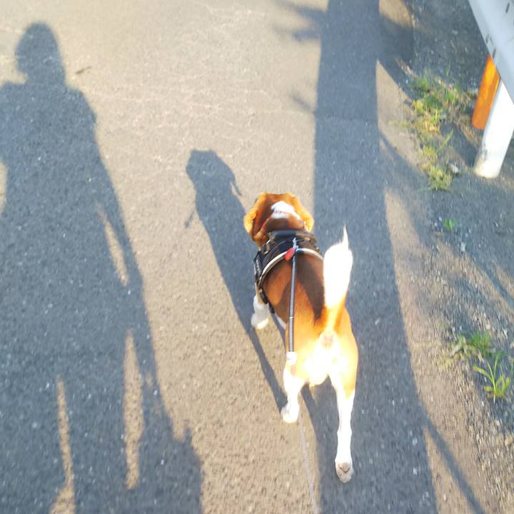 B8bea28f c6b4 4014 bbdf 45a054e05b76 1656650272797