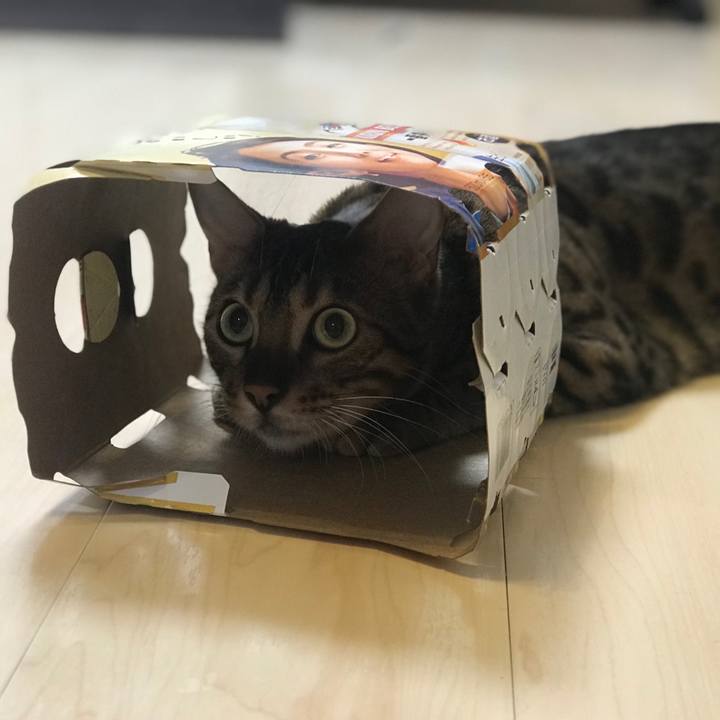 B8beb0ea 11dd 4572 81cd d583e2e85361 1531758815273