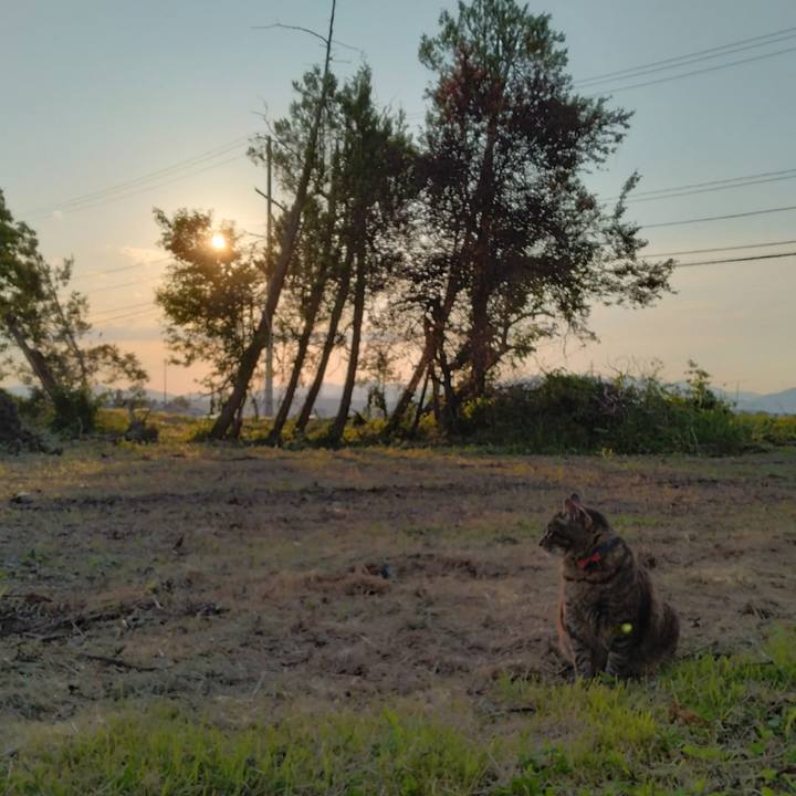 B8bf0619 b0ab 4572 bf5d 4e54b747e2e5 1686042796507