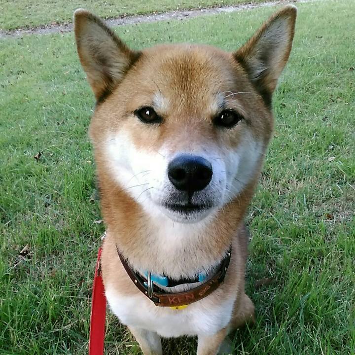 B8bf247c c67b 47af 87c0 a235484782fa 1539909063155