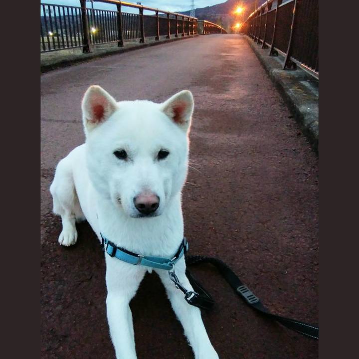 B8bf3229 6f82 422f ae21 3b16cf20cfa3 1552305626832