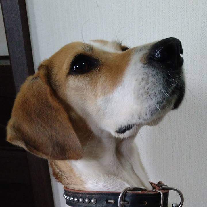 B8bf54e8 46ba 4b38 9075 7478698e32e9 1638496335317