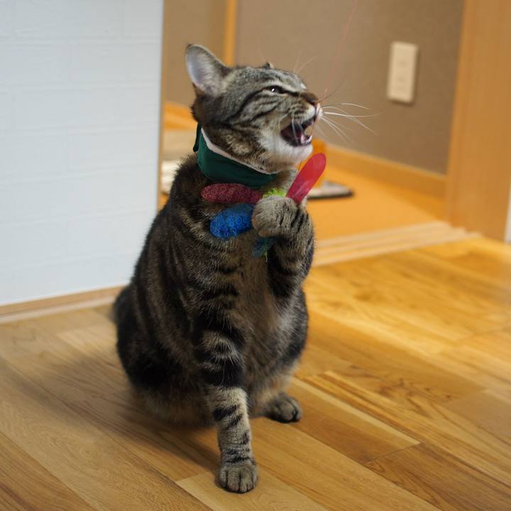 B8bf6082 0d6d 4b8e 8e9c 70cafe1635cd 1551229510823