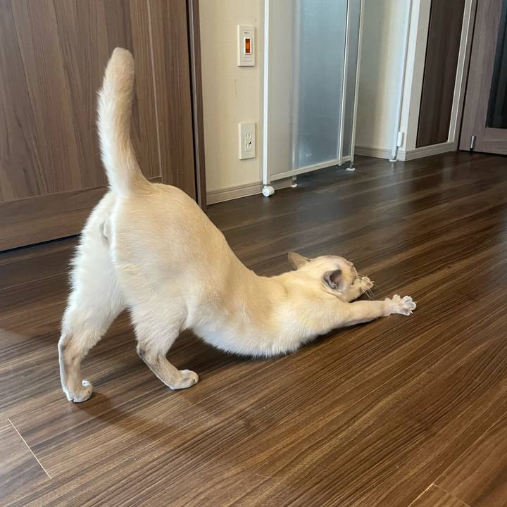 B8bf6953 bd81 4b04 911c 23ab4db99515 1736251190162