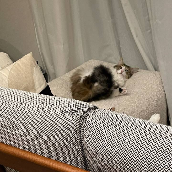 B8bfa31b 081a 4ef4 8d5b 051383fd8564 1771383263931