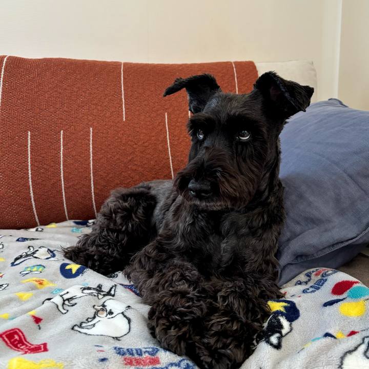 B8bfa357 702d 426b 93e7 0f1692ea492b 1764466852847