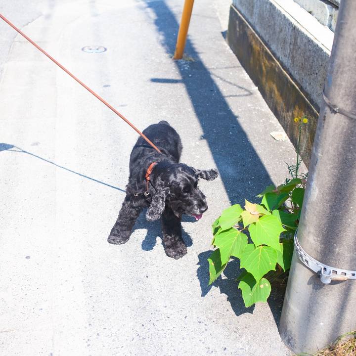 B8bfb690 045c 45e0 90a0 267278fb03f4 1598070026554