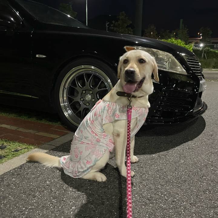 B8bfcb3f 5767 4c89 9833 4912cb33db7d 1662803398161