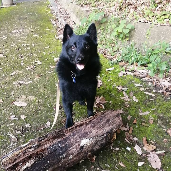 B8bfdcf0 847b 427d b659 82a247e3dbda 1631221139617