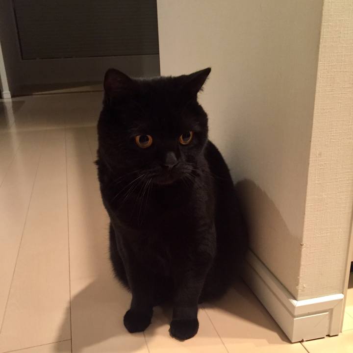 B8bfe9fe 4c1e 452d bdd6 b1b31b0be71f 1586267716736