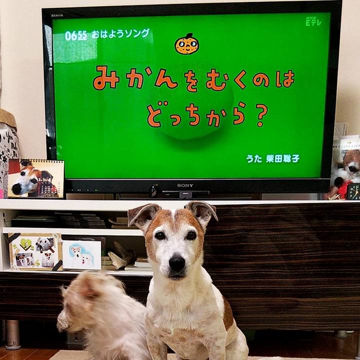 B8c092c2 4634 4706 8fdf 45deab24e43b 1585001457727