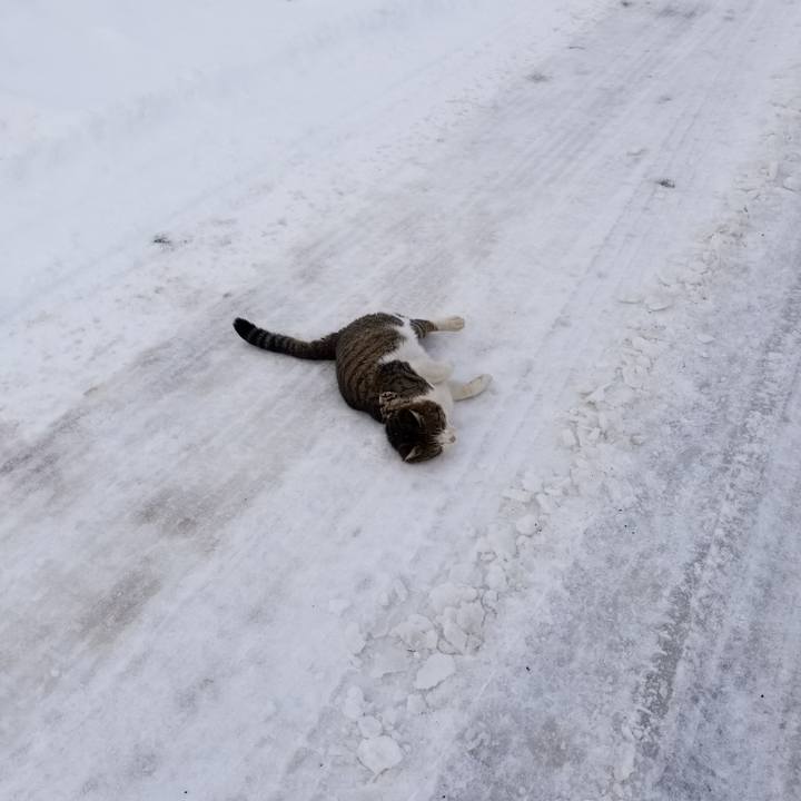 B8c09440 62f9 40c9 a82b 3d8fa7ec27b2 1581777717181