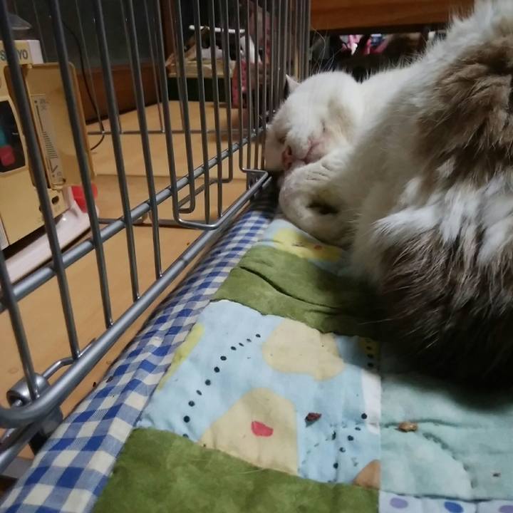 B8c0a6b9 3845 474b 8162 dffbbea3df18 1549966374705