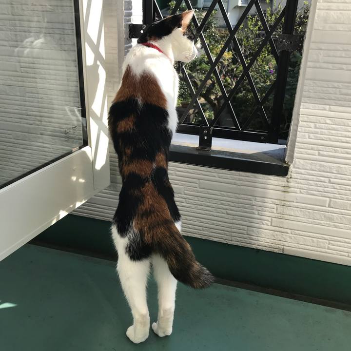 B8c0b89f c0a5 4cd6 9dcd c1fa41f436b0 1508824541904