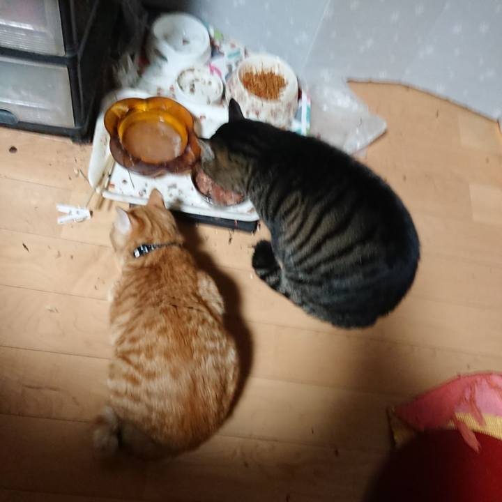 B8c0d062 93c0 42cc a6a2 7d5a86ebcb56 1639946440188