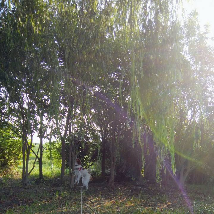 B8c11d54 8f7d 4c49 9dca c479f4ff0ebe 1533946274059