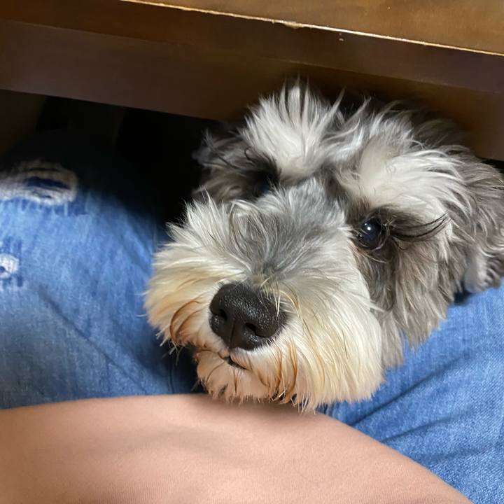 B8c12da0 5df3 48f4 8d3b 94dbd042d456 1587133373797