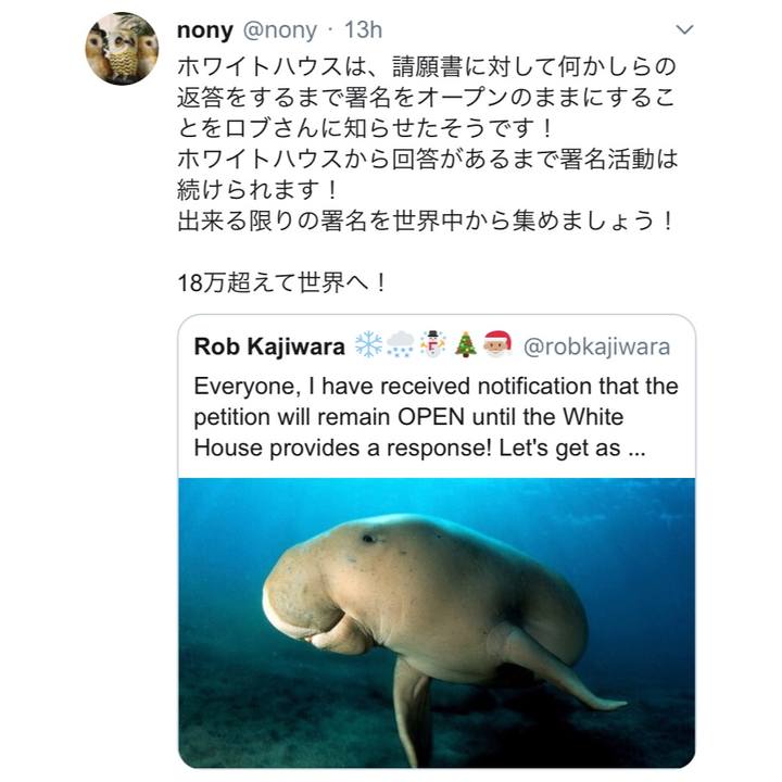 B8c14f95 6e1a 4d73 afdc d57830e91a3a 1546880096685